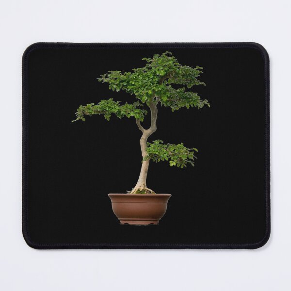 Item preview, Pine Bonsai Tree designed and sold by Click-Like.