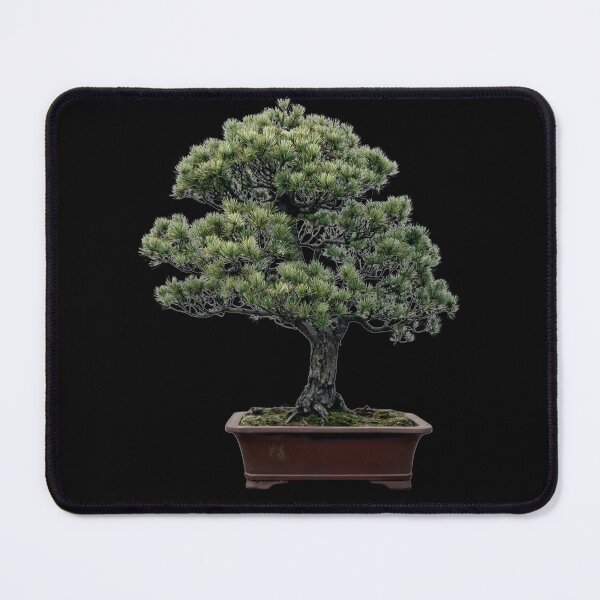Item preview, Informal Upright Style Bonsai Tree designed and sold by Click-Like.