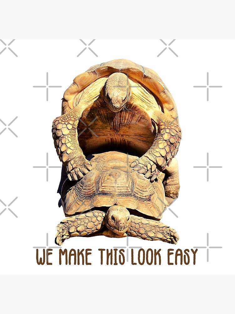 "Tortoise Love We Make This look Easy" Poster for Sale by CBCreations73