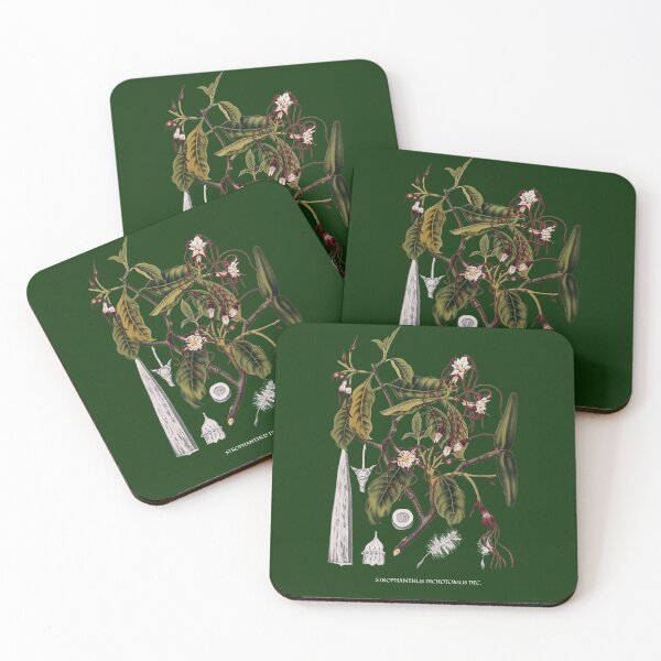 Item preview, 19th Century Botanical Illustration designed and sold by Naturalist Prints.