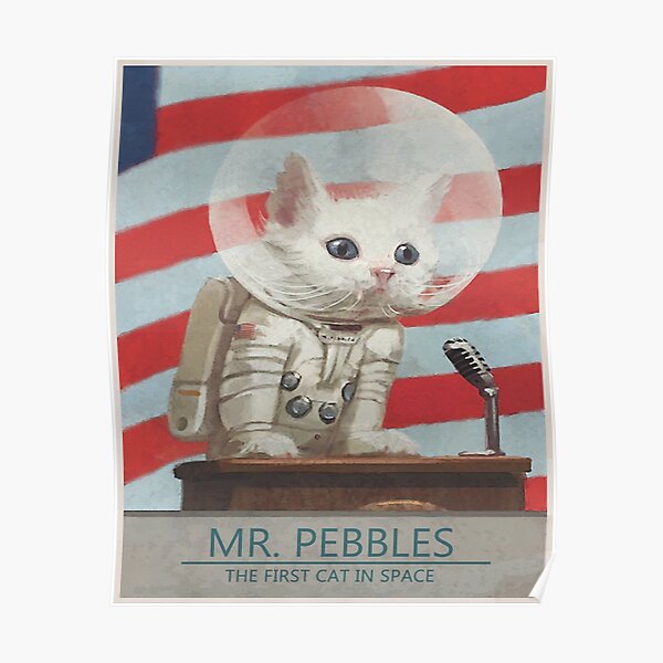 Mr Pebbles | Fallout Inspired | Wall Art Home Decor | HECKINFAROUT Poster