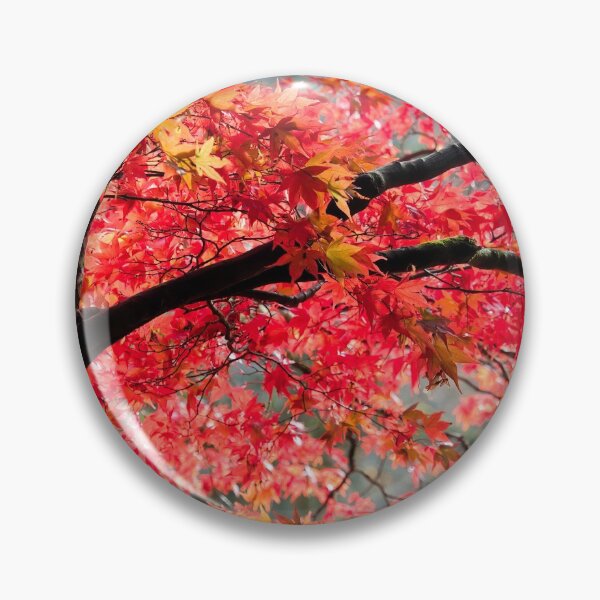 Item preview, Fiery Red Acer Japanese Maple Tree designed and sold by Dorset Girl.