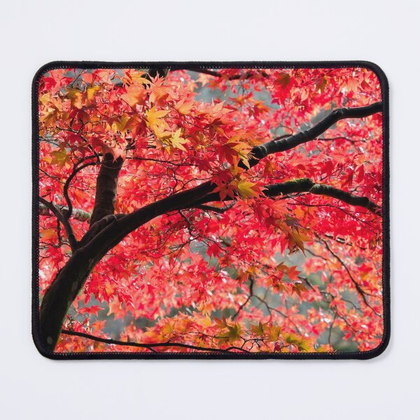 Item preview, Fiery Red Acer Japanese Maple Tree designed and sold by Dorset Girl.
