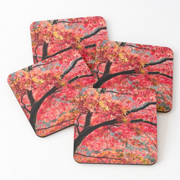 Item preview, Fiery Red Acer Japanese Maple Tree designed and sold by Dorset Girl.