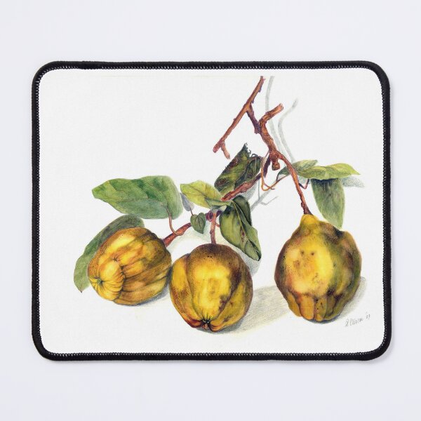 Item preview, Quince designed and sold by AnneEllison.