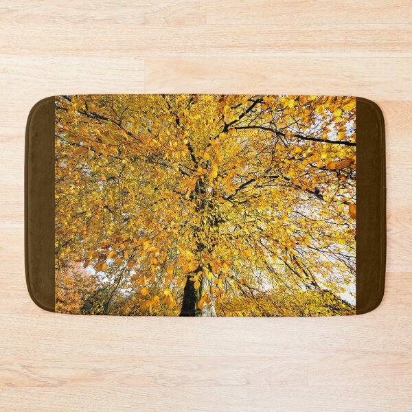 Item preview, Golden Beech Trees at Chard Somerset designed and sold by Dorset Girl.
