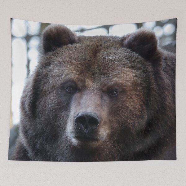 Item preview, Cute brown bear designed and sold by SophieHueper.