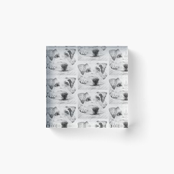 Jack Acrylic Block