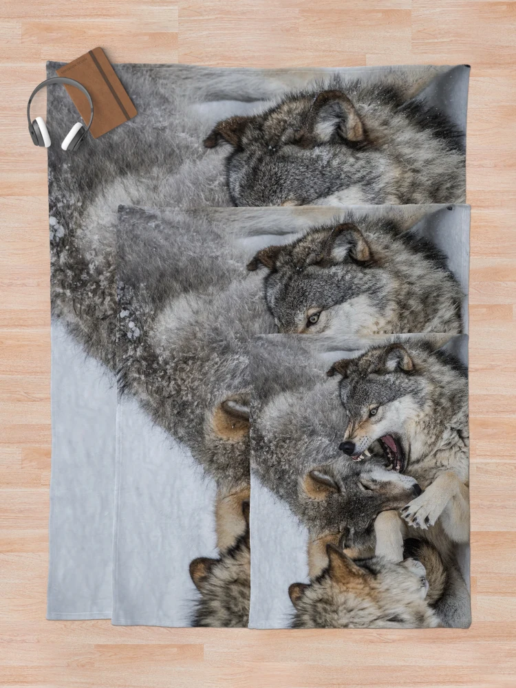Thumbnail 5 of 6, Throw Blanket, Timber Wolves Playing designed and sold by WolvesOnly.