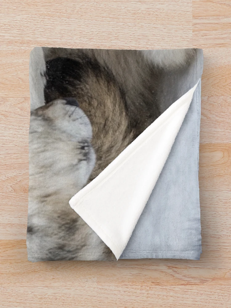 Thumbnail 3 of 6, Throw Blanket, Timber Wolves Playing designed and sold by WolvesOnly.
