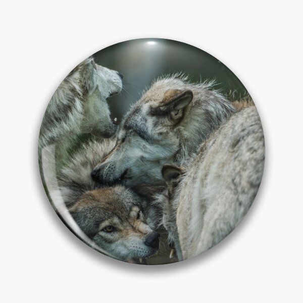 Artikelvorschau, Timber Wölfe spielen entworfen und verkauft von WolvesOnly.