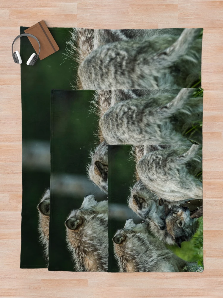 Thumbnail 5 of 6, Throw Blanket, Timber Wolves Playing designed and sold by WolvesOnly.