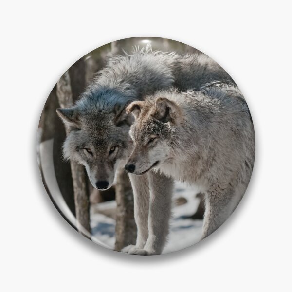Item preview, Timber Wolves In Winter designed and sold by WolvesOnly.
