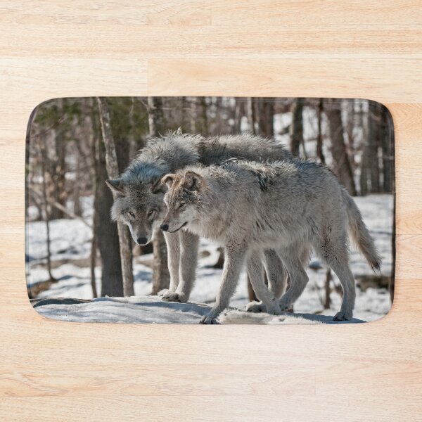 Item preview, Timber Wolves In Winter designed and sold by WolvesOnly.