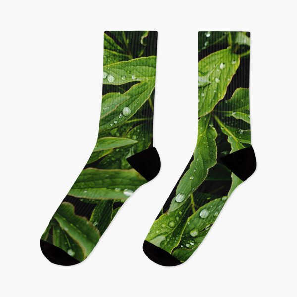 Item preview, Green leaves with rain drops of Paeonia Officinalis plant designed and sold by Michaelerch.