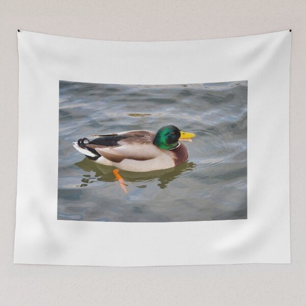 Item preview, Mallard Duck Enjoying A Swim at Chard Somerset designed and sold by Dorset Girl.