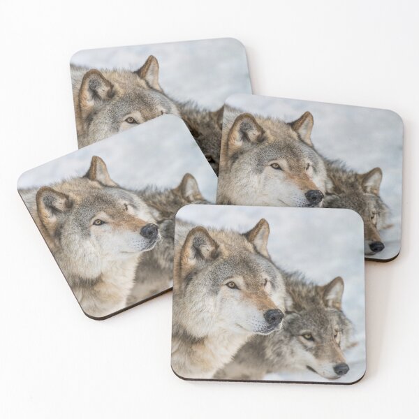 Item preview, Timber Wolves In Winter designed and sold by WolvesOnly.