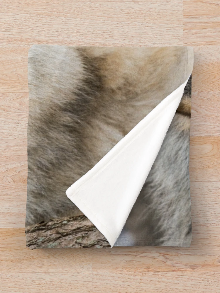 Thumbnail 3 of 6, Throw Blanket, Timber Wolves In Winter designed and sold by WolvesOnly.
