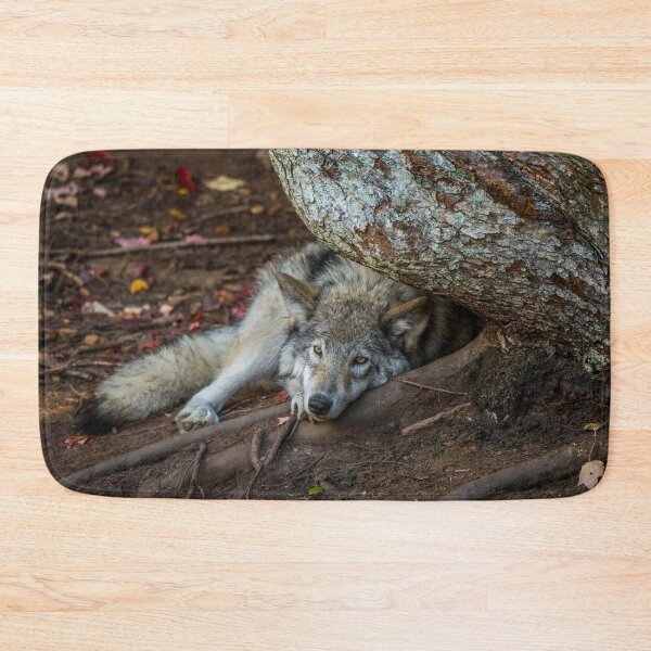 Item preview, I see You designed and sold by WolvesOnly.