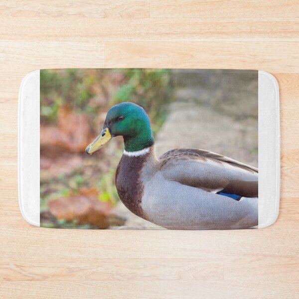 Item preview, Portrait of a Male Mallard Duck designed and sold by Dorset Girl.
