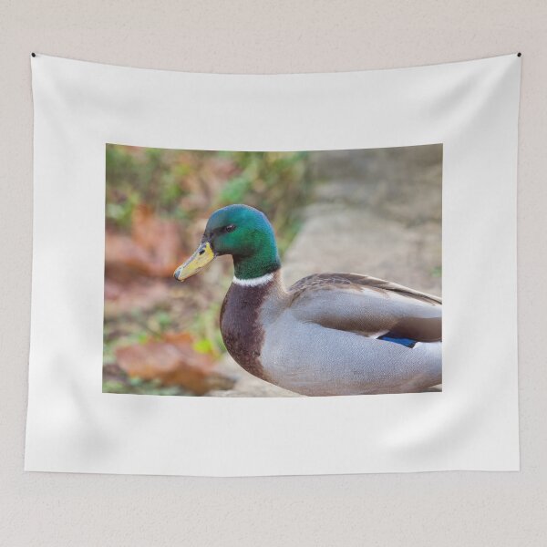 Item preview, Portrait of a Male Mallard Duck designed and sold by Dorset Girl.