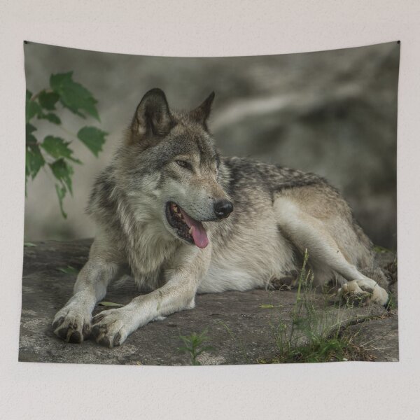 Item preview, Gray Wolf  designed and sold by WolvesOnly.