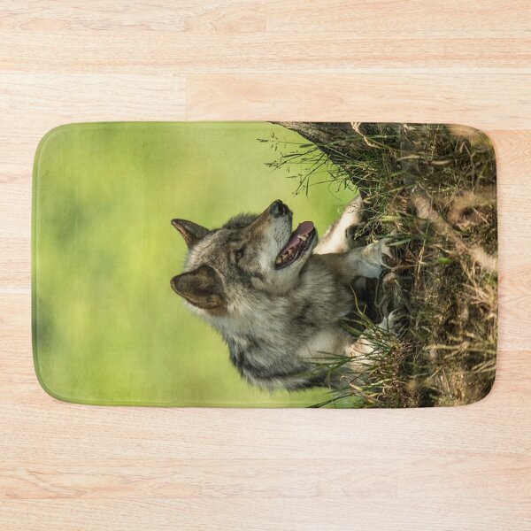 Item preview, Gray Wolf Resting In The Shade designed and sold by WolvesOnly.