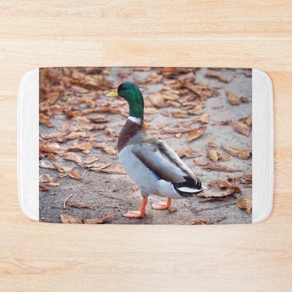 Item preview, Male Mallard Duck Amidst Autumn Leaves designed and sold by Dorset Girl.