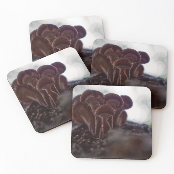 Item preview, Shrooms designed and sold by James Rutherford.