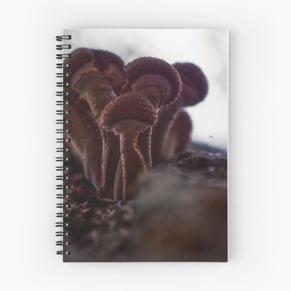 Aperçu de l'œuvre Champignons créée et vendue par James Rutherford.