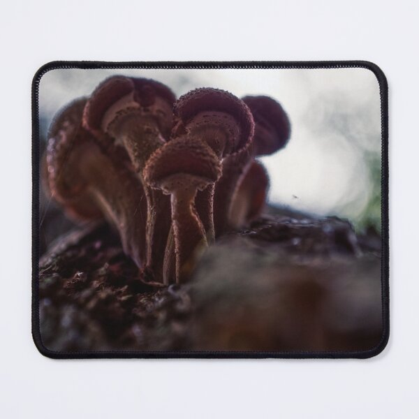Item preview, Shrooms designed and sold by James Rutherford.