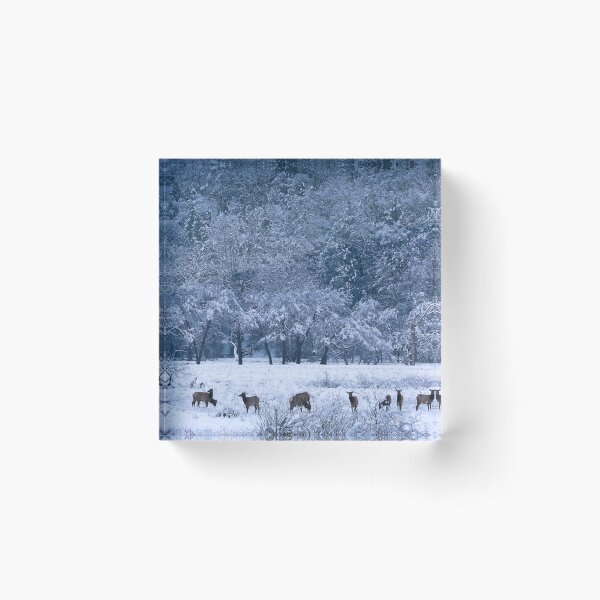 Item preview, Winter Gathering of Elk in the Kettle Creek Valley designed and sold by KC-IM.