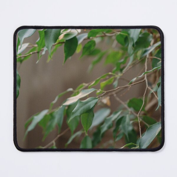 Item preview, Ficus leaves designed and sold by anstey.