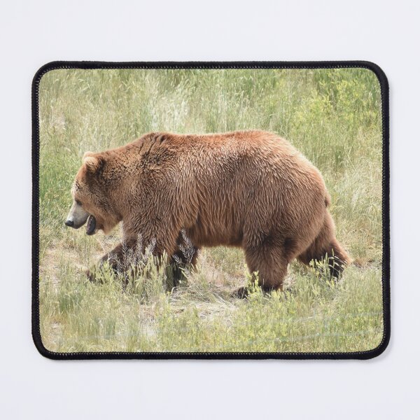 Item preview, Grizzly Bear designed and sold by Kathleen Brant.