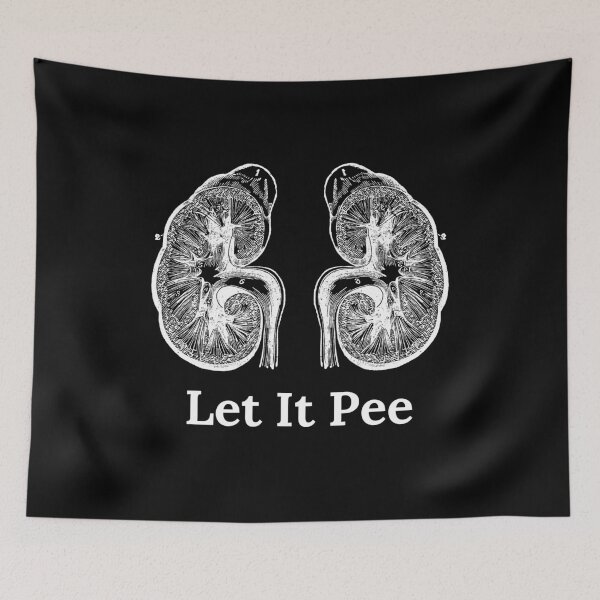 Item preview, Kidney Pun | Anatomy and Physiology designed and sold by Cardinal Designs.