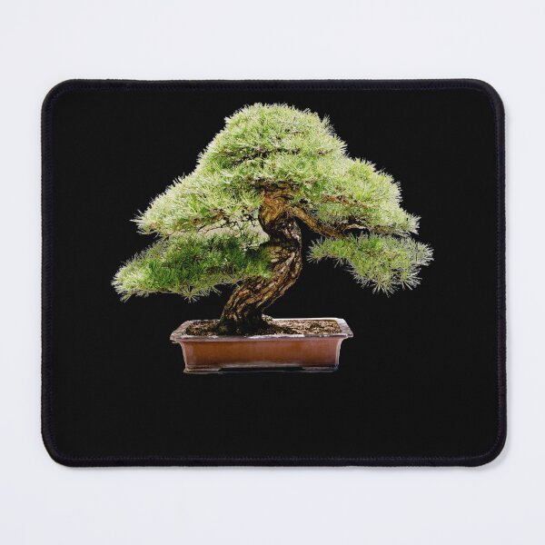 Item preview, Informal Upright Style Bonsai Tree designed and sold by Click-Like.