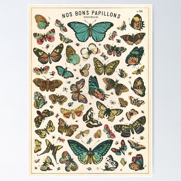 Item preview, Wild Butterfly designed and sold by Claudia  Poffenberger.