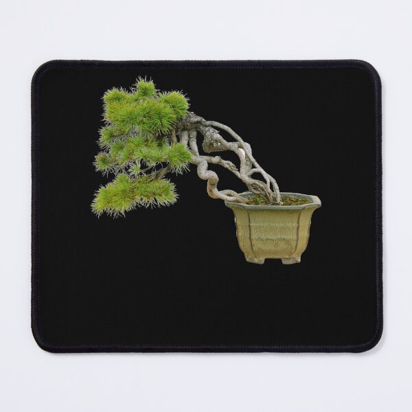 Item preview, Windswept fukinagashi Bonsai Tree designed and sold by Click-Like.