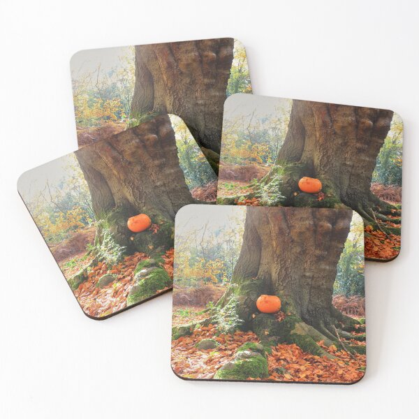 Item preview, Pumpkin in it's place designed and sold by Vicki Spindler (VHS Photography).