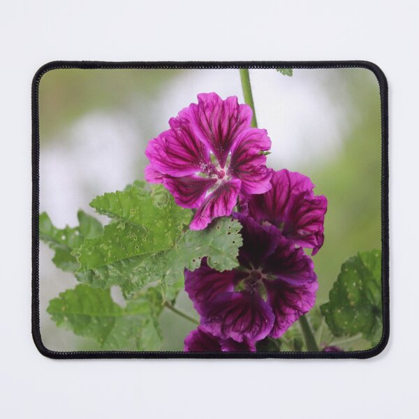 Item preview, Common Mallow designed and sold by cuprum.