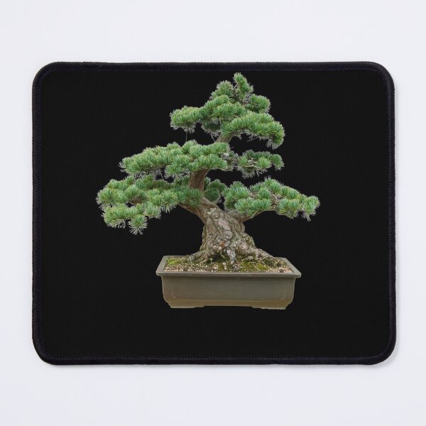 Item preview, Informal upright moyogi Bonsai Tree designed and sold by Click-Like.