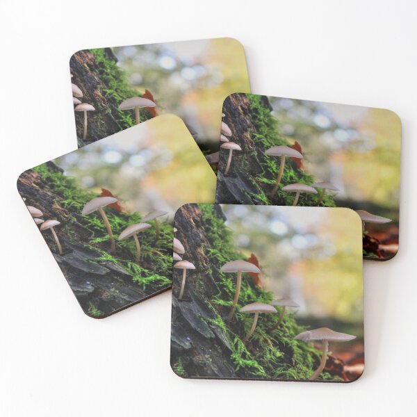 Item preview, Growing Upwards designed and sold by Vicki Spindler (VHS Photography).