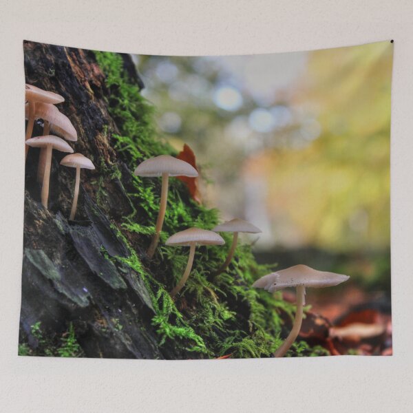 Item preview, Growing Upwards designed and sold by Vicki Spindler (VHS Photography).