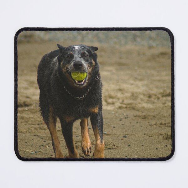 Item preview, flb ball time designed and sold by pcfyi.