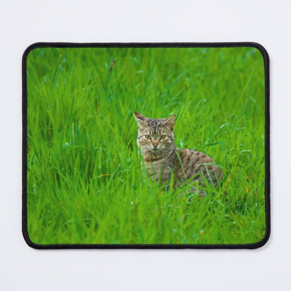 Item preview, flb green eyes designed and sold by pcfyi.