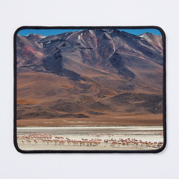 Item preview, Pink flamingos, Bolivia designed and sold by studio838.