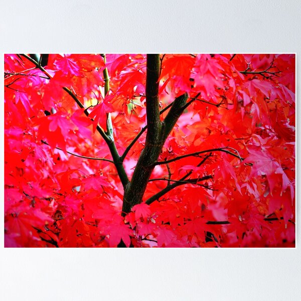 Item preview, Vibrant Autumns designed and sold by shalisa.