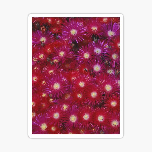 Ruby Flowers Sticker