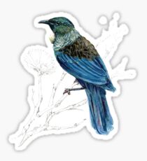 Mr Tui , New Zealand native bird Sticker