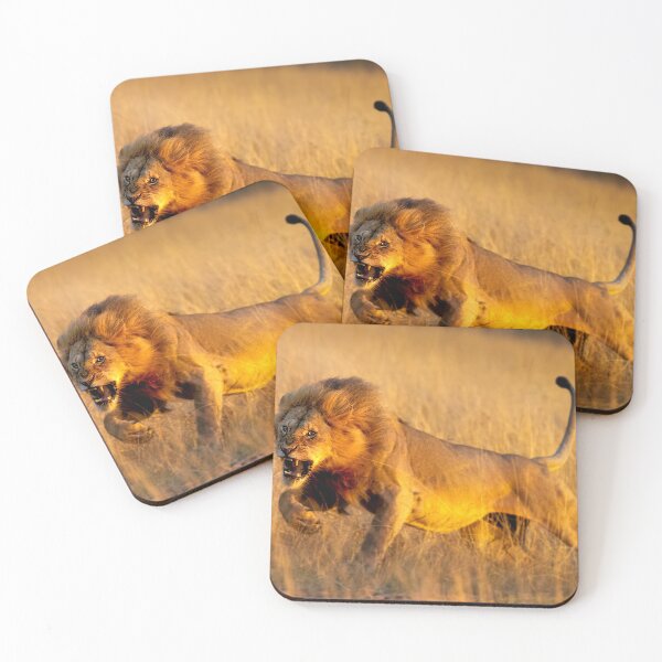 Item preview, Aggressive young lion charging designed and sold by Graham Prentice.